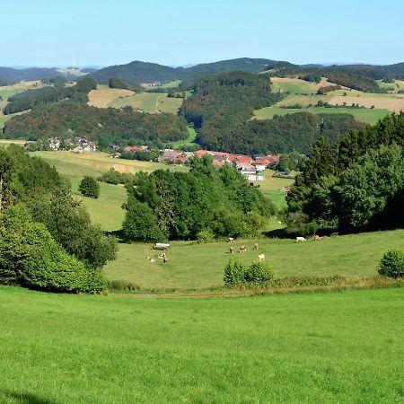 Holiday In The Sauerland Region In Unique Location Вилинген Екстериор снимка