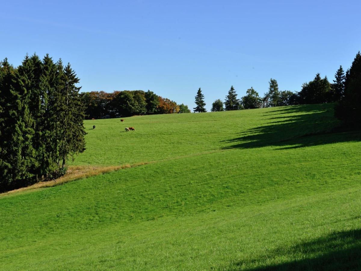 Holiday In The Sauerland Region In Unique Location Вилинген Екстериор снимка